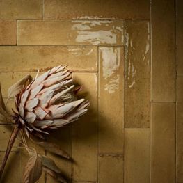 FACHALETA LOOK OCRA 00R8FT36 BRLIIANTE SIN RECT 6 X 24