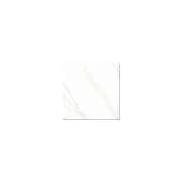 CARRARA CLASICO FD BLANCO LCARF001S01 MATE 55X55