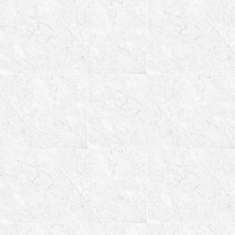 CLASSIC CARRARA WHITE (P) SILK RECT. 80 X 160 - KLP