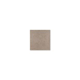 FALCON BEIGE N/E 44X44 1A PORCELANITE (L)