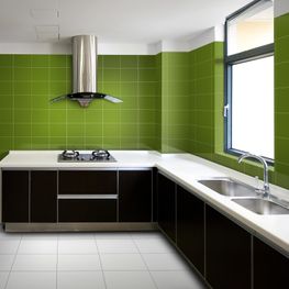 FRUTAS LIMON (25 PZAS) 20X30 PORCELANITE 1A (LE)