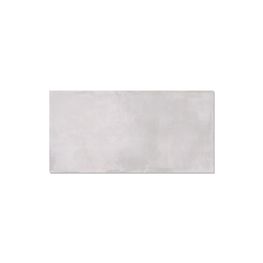 BOULEVARD LIGHT GRAY ZBD1 60X120 REC DALTILE (LE)