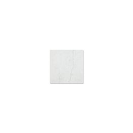 PRAGA CARRARA ZD50 45X45 DALTILE 1A (ALE)
