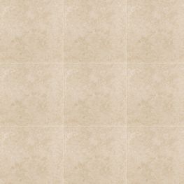 ROE BEIGE 55X55 PORCELANITE 1A (L)