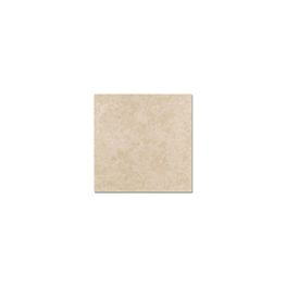 ROE BEIGE 55X55 PORCELANITE 1A (L)