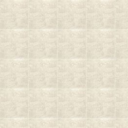 SAHARA BEIGE 55X55 PORCELANITE 1A (AL)