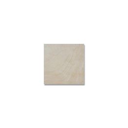SANDSTONE BEIGE GSS1 60.5X60.5  DALTILE (AL)