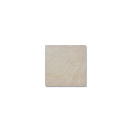 SANDSTONE BEIGE GSS12424RC1P7 MATE RECT 60 X 60