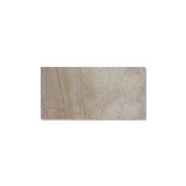 SANDSTONE GRAY GSS2 60.5X60.5 DALTILE 1A (ALE)