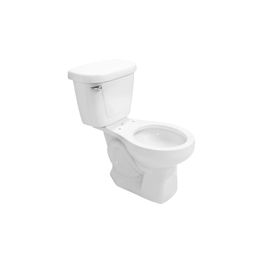 TAZA JAZMIN REDONDO ROSACATO (SP)