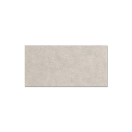 TREND LIGHT GREY G102 60X120 RECT. DALTILE (L)