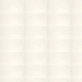 VETRO BLANCO 25X40 PORCELANITE 1A (L)