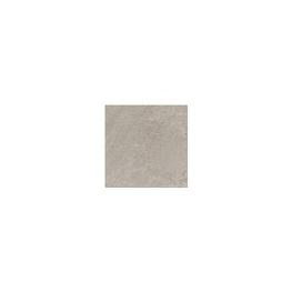 VICENZA GRIS ZVZ222221SJ MATE SIN REC 55.5X55.5